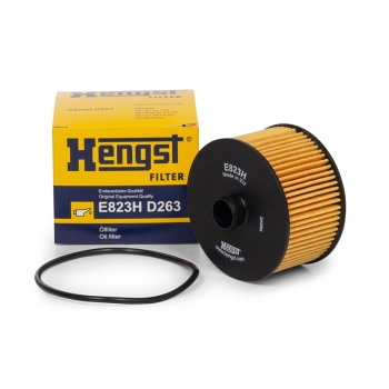 Lọc dầu nhớt động cơ Hengst E832HD317