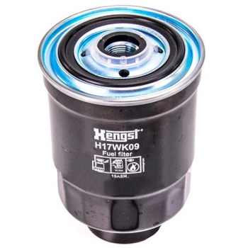Lọc nhiên liệu Hengst H17WK09