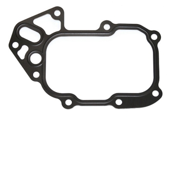 Gioăng két sinh hàn