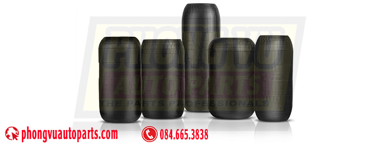 Bầu giảm xóc kiểu bọc đồng trục (Air Strut / Tapered Sleeve Air Springs)