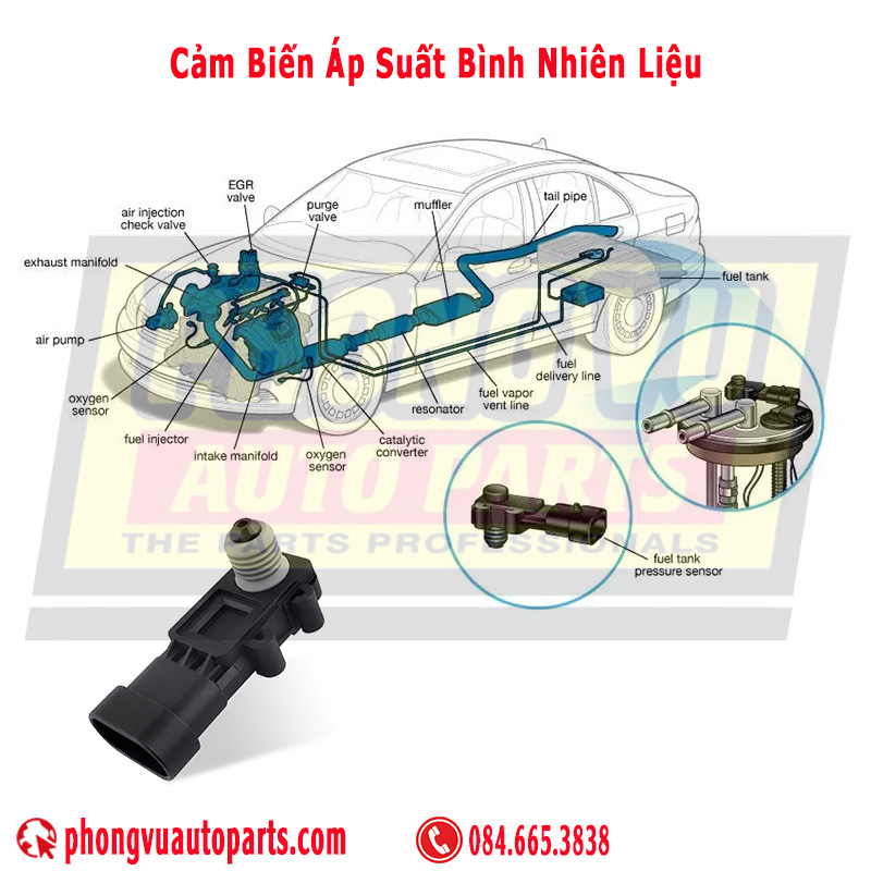 Cảm biến áp suất bình nhiên liệu - Fuel Tank Pressure Sensor