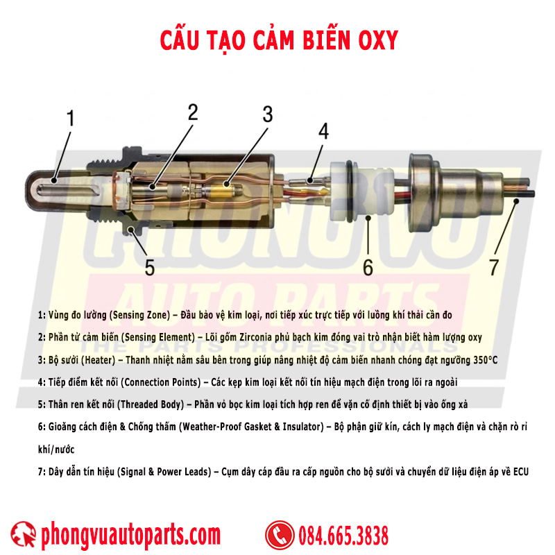 Cấu tạo cảm biến Oxy - Oxygen Sensor