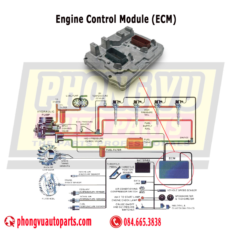 Engine Control Module (ECM) - Mô-đun điều khiển động cơ (ECM)