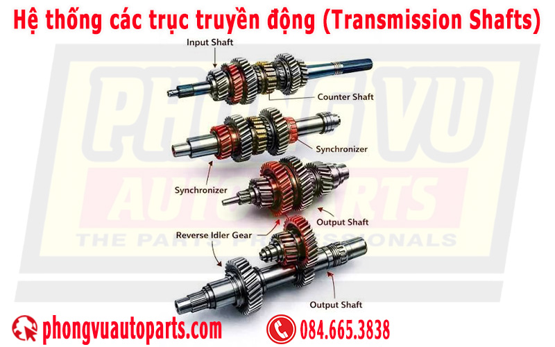 Hệ thống các trục truyền động (Transmission Shafts)