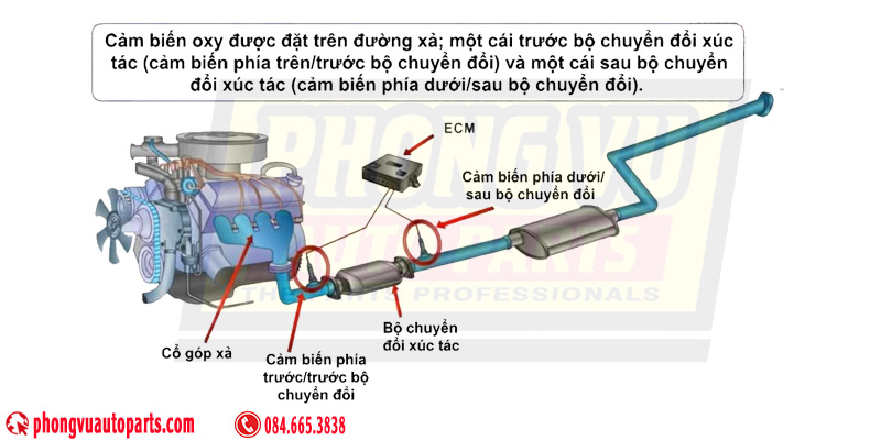 Vị trí cảm biến Oxy