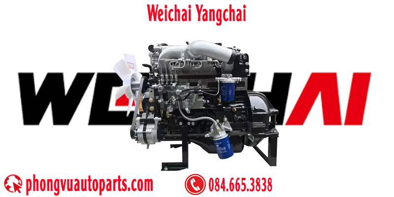 Động cơ cỡ nhỏ và vừa Weichai Yangchai