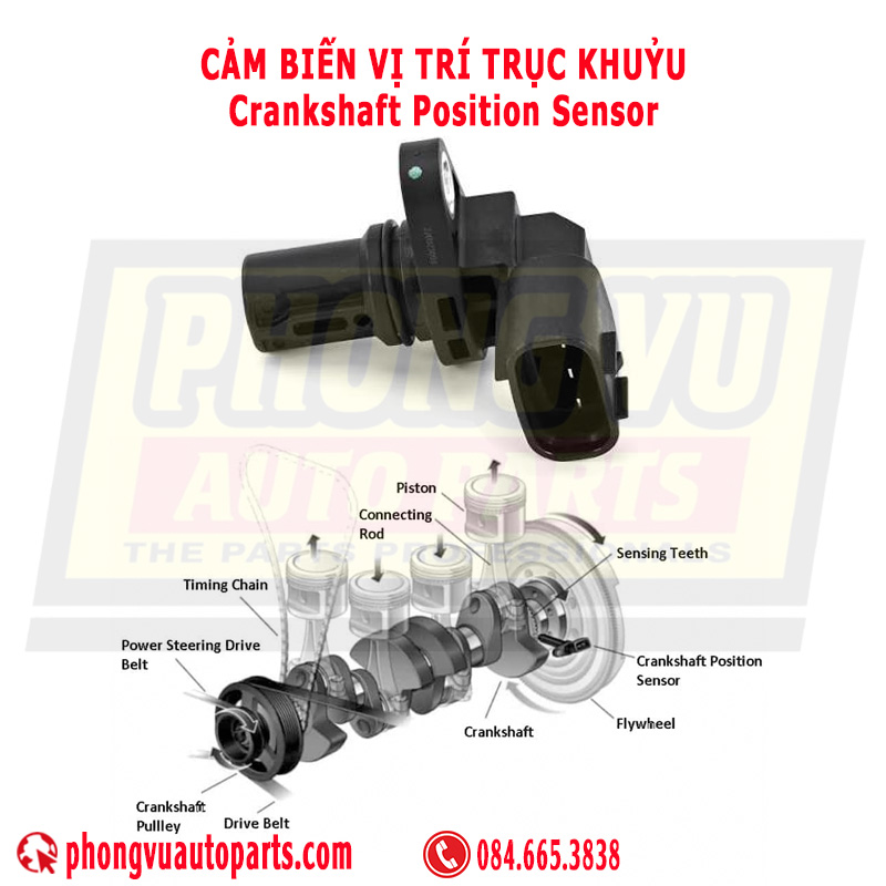 Cảm Biến Vị Trí Trục Khuỷu - Crankshaft Position Sensor