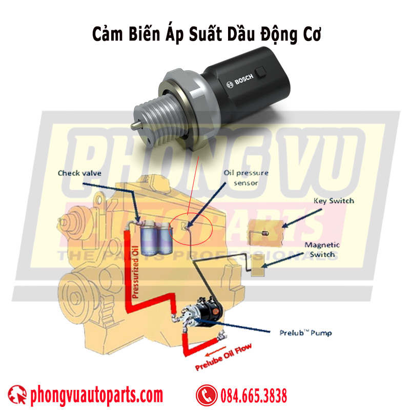 Cảm biến áp suất dầu động cơ (Engine oil pressure sensor)